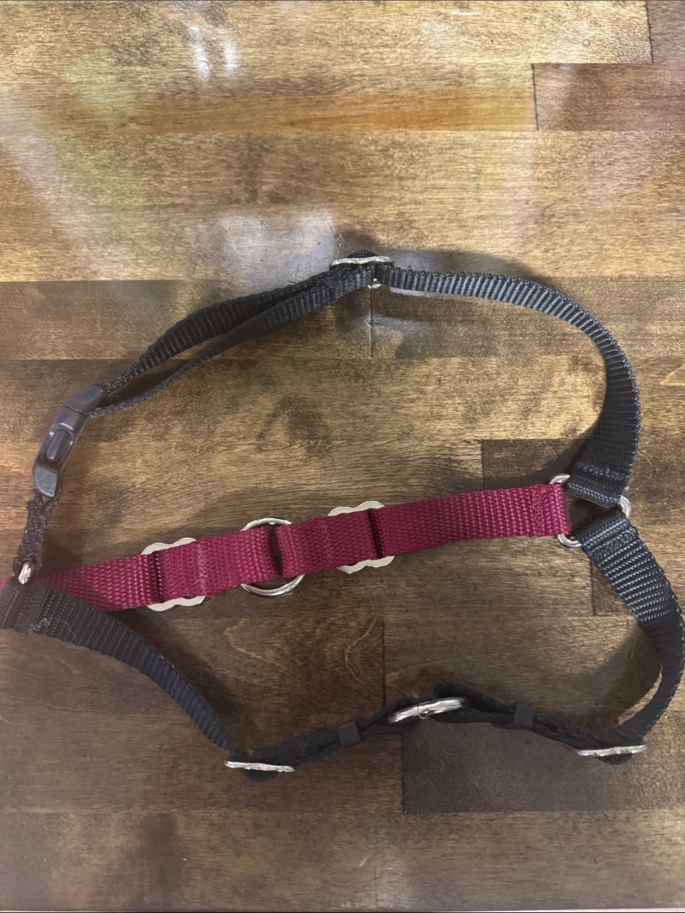 Wonder Walker Two-Tone Dog Harness in Burgundy & Black - Picture 2 of 5